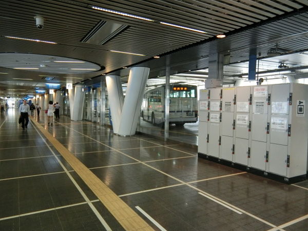 20241111-8d42z