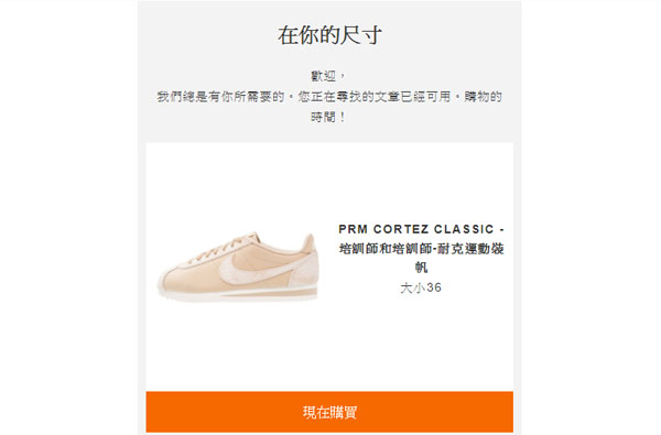 20241111-plhq1