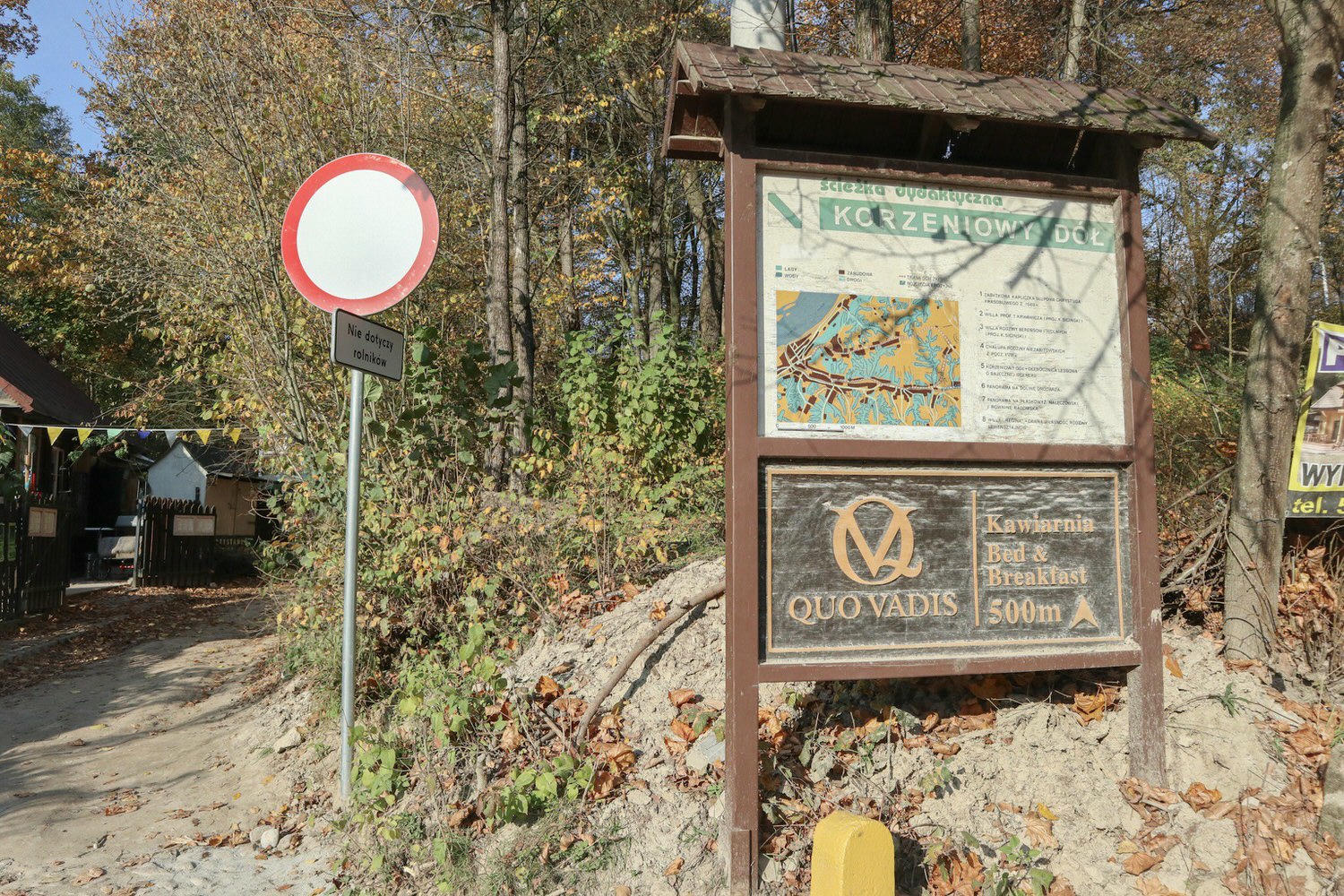 20241111-igoj0
