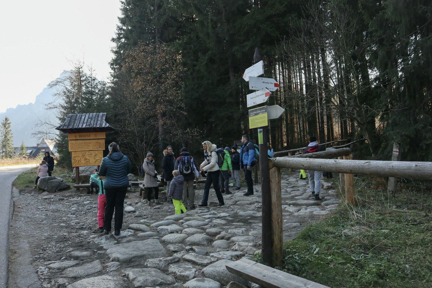 20241111-oszfy