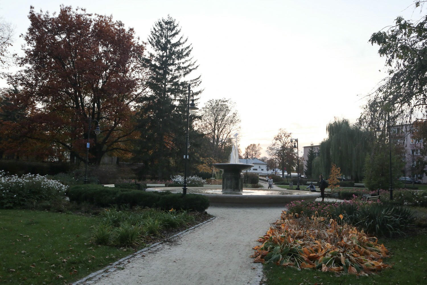 20241111-jzmiu