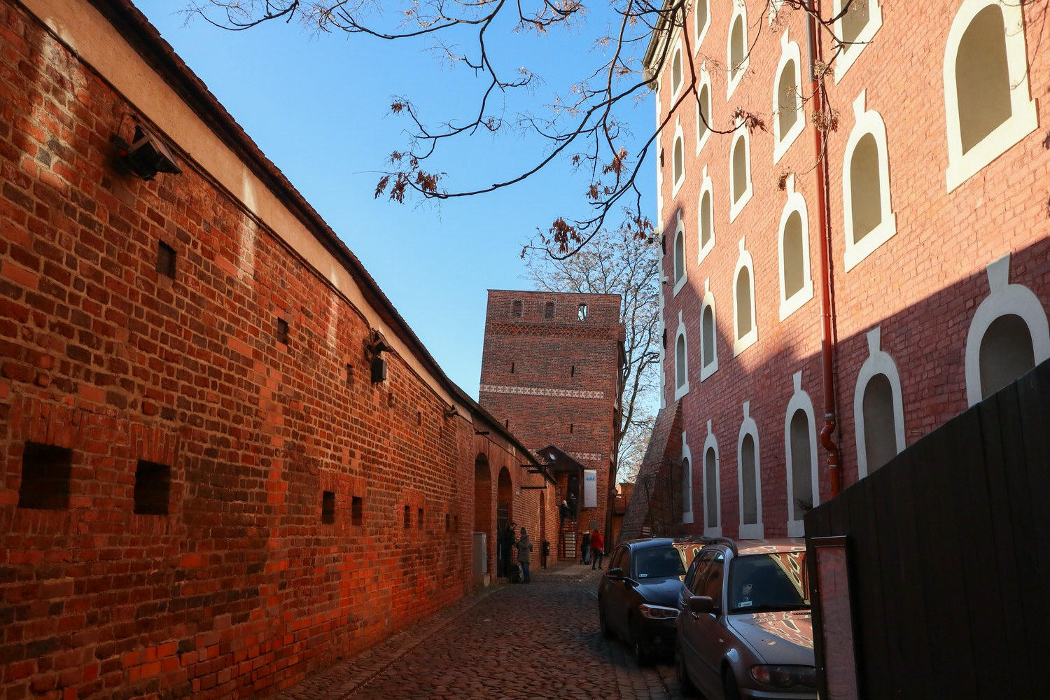 20241111-2cvnw