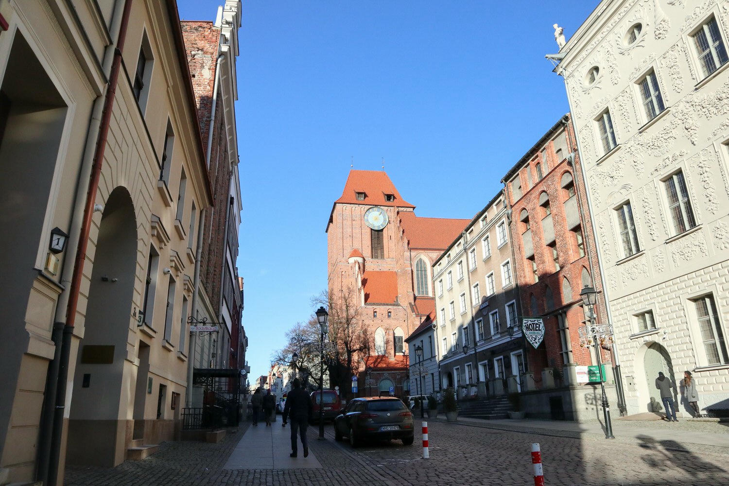 20241111-skoge